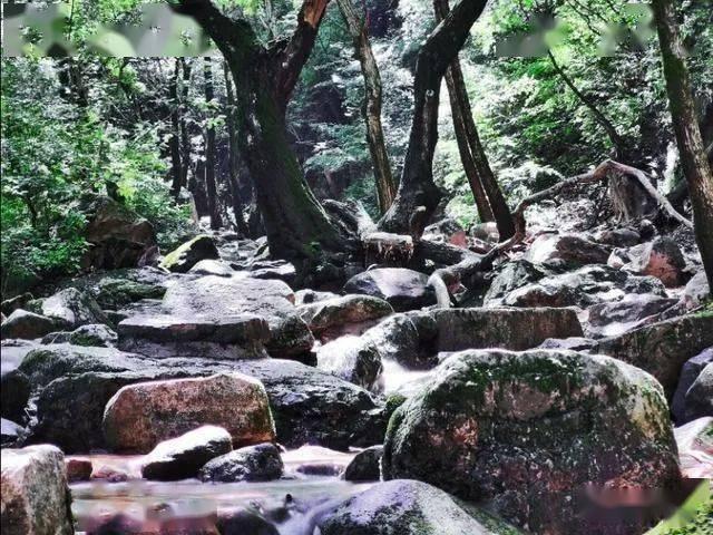 求西安有什么特产能带走-解决你的疑问